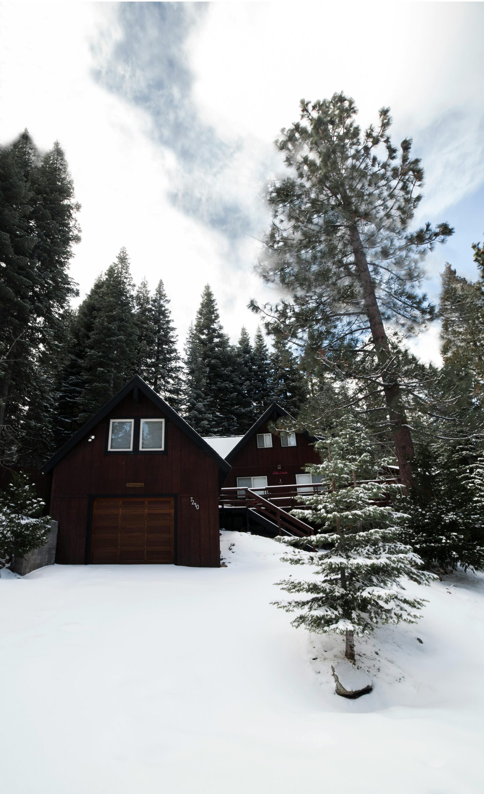 Charming wooden cabin surrounded by snow-dusted pine trees in a serene winter forest.
